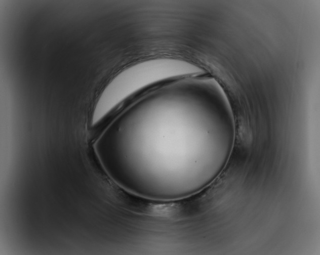 X0000093140461200710101120