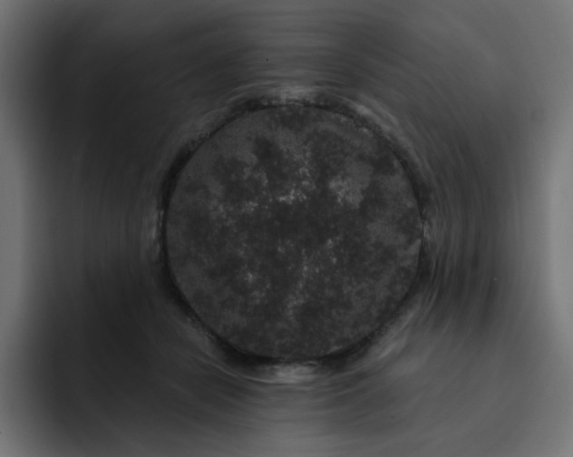 X0000093140462200710101120