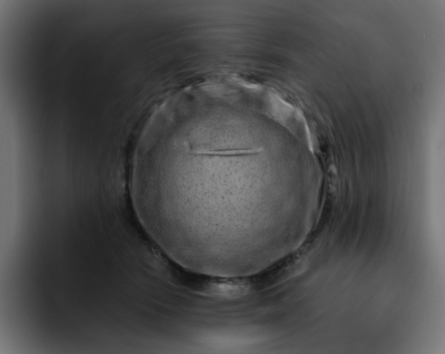 X0000093140466200710101120