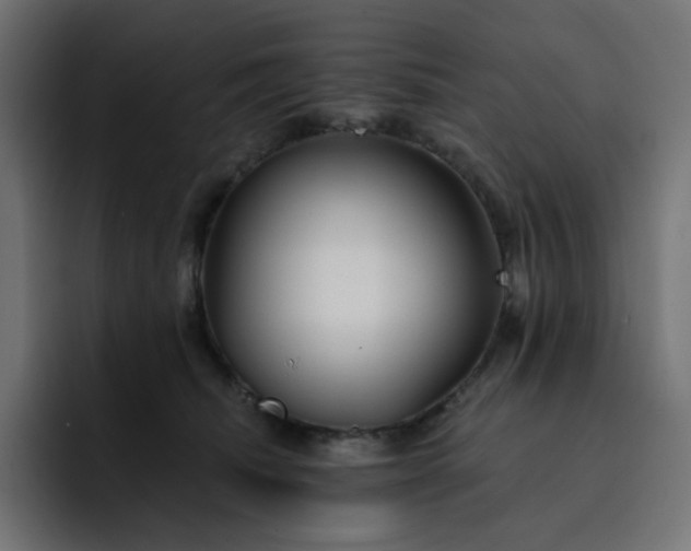 X0000093140468200710101120