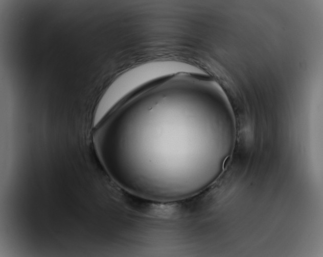 X0000093140469200710101120