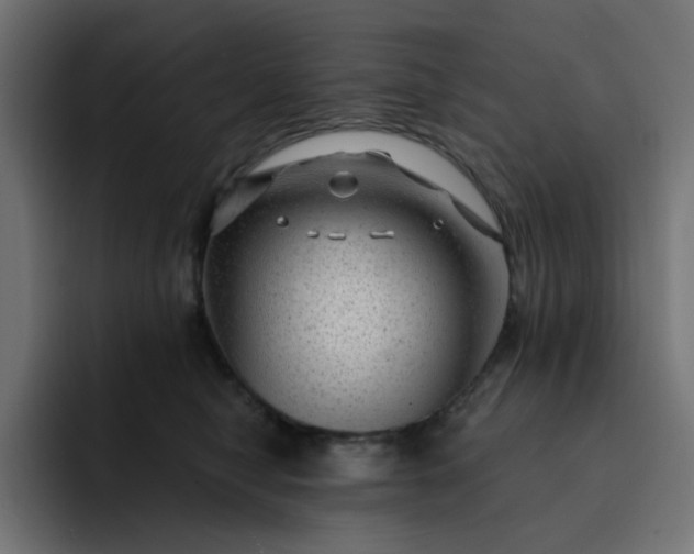 X0000093140470200710101120