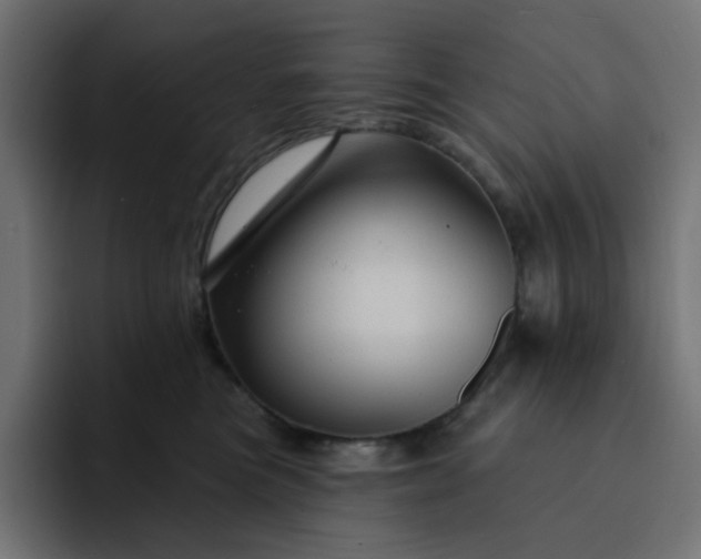 X0000093140473200710101120