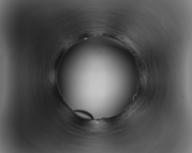 X0000093140477200710101120