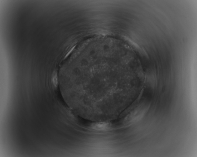 X0000093140479200710101120