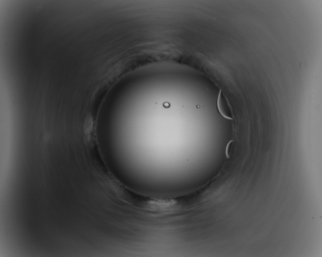 X0000093140480200710101121