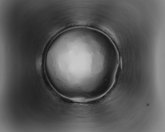 X0000093140483200710101120