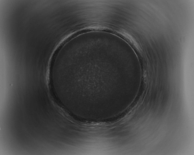 X0000093140484200710101120