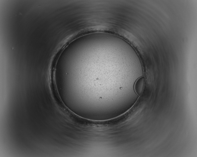 X0000093140486200710101120