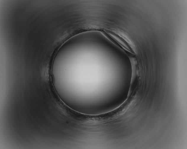 X0000093140489200710101120