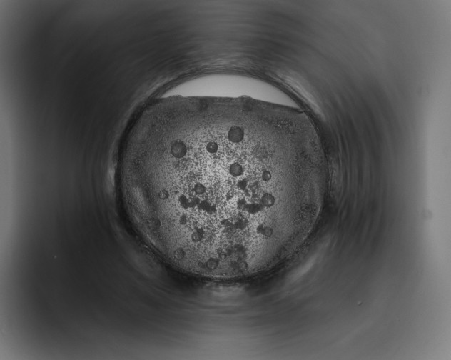 X0000093140491200710101120