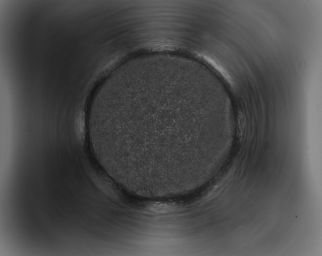 X0000093140494200710101120