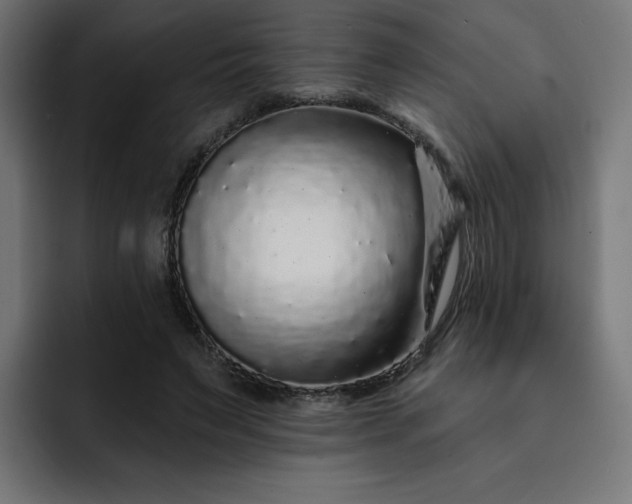 X0000093140495200710101120