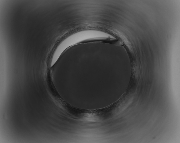 X0000093140496200710101120