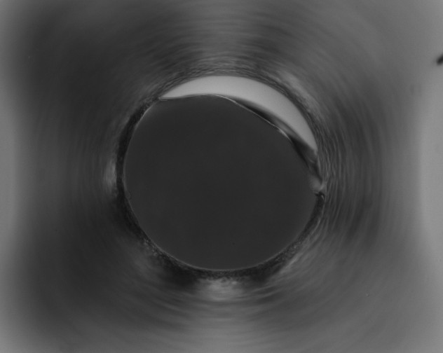 X0000093140500200710101120