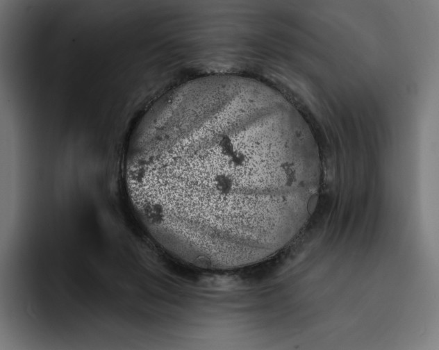 X0000093140503200710101120