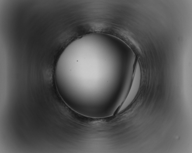 X0000093140505200710101120