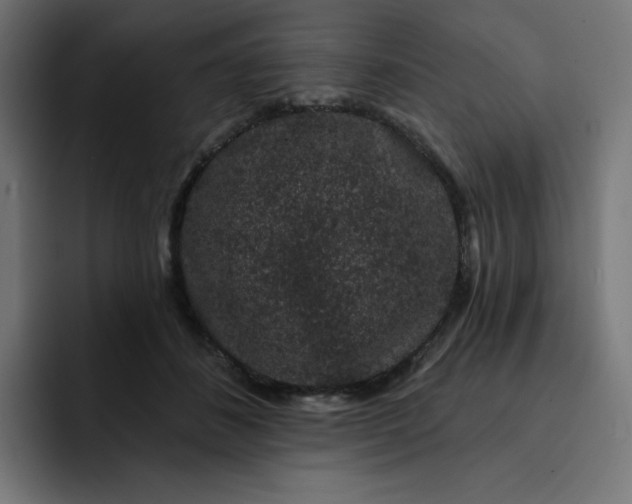 X0000093140508200710101120