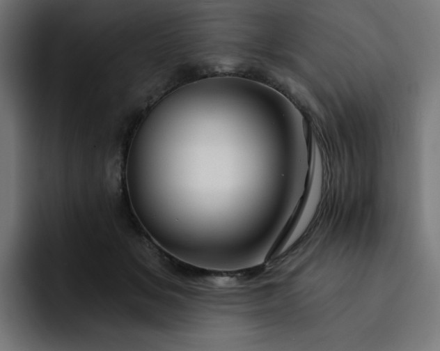 X0000093140509200710101120