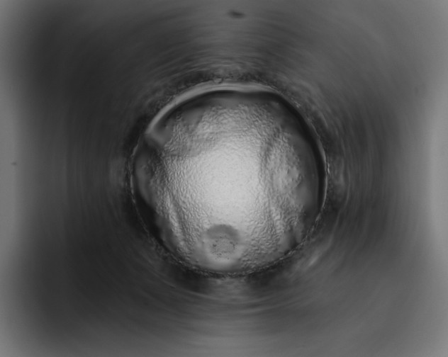 X0000093140511200710101120