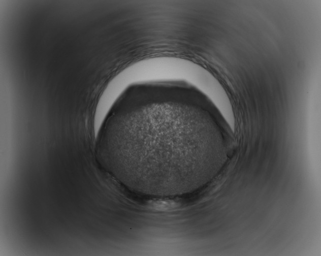 X0000093140512200710101120