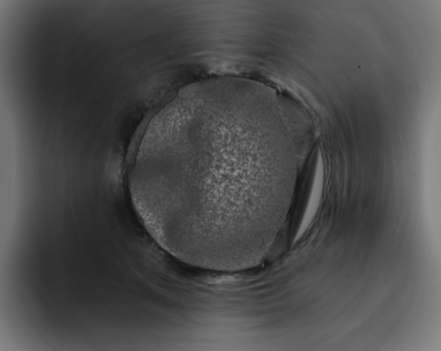 X0000093140513200710101120