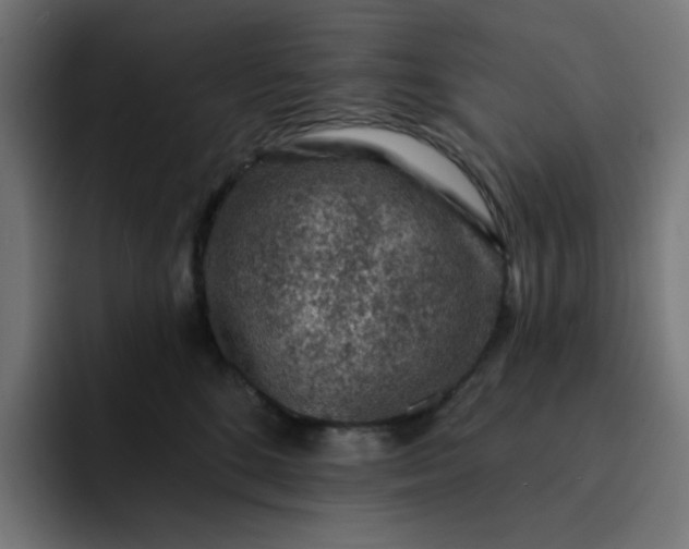 X0000093140520200710101119