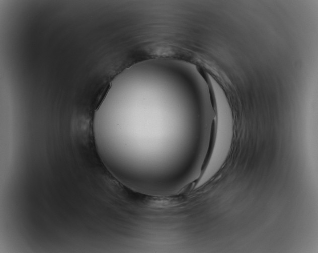 X0000093140521200710101119