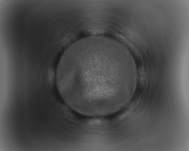 X0000093140523200710101119