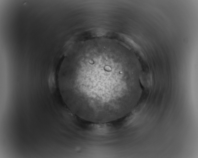 X0000093140524200710101119