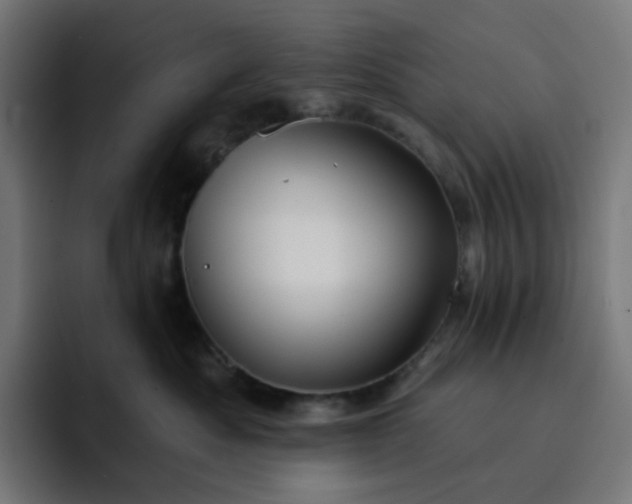 X0000093140525200710101119