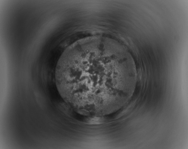 X0000093140527200710101119