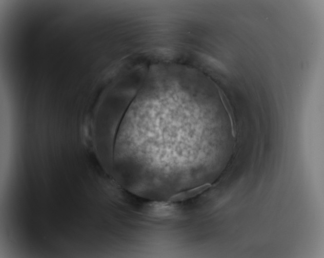 X0000093140528200710101119