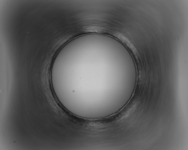 X0000093140529200710101119