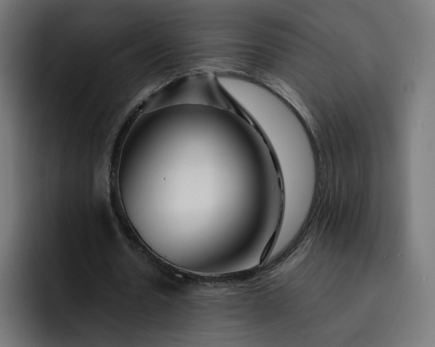 X0000093140530200710101119