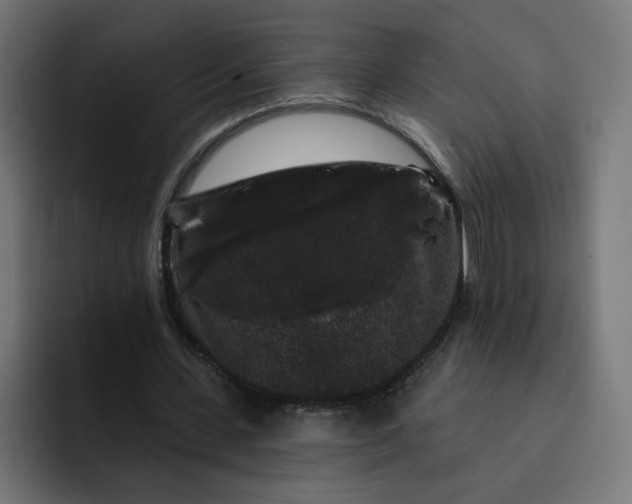 X0000093140531200710101119