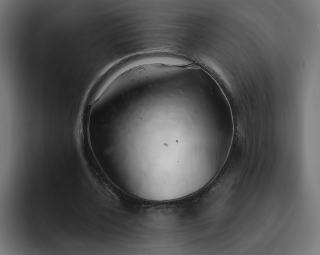 X0000093140532200710101119