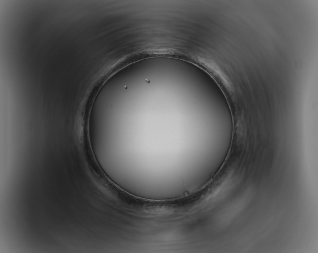 X0000093140533200710101119