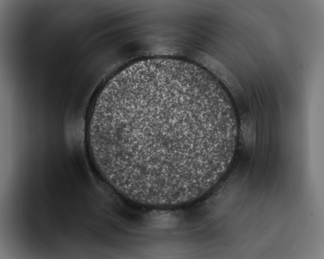 X0000093140534200710101119