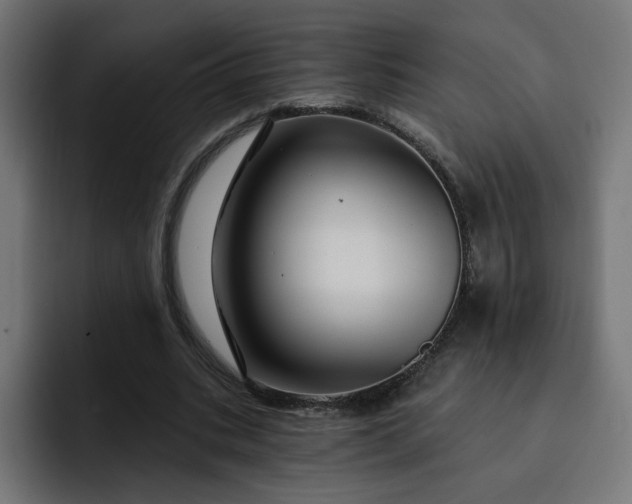 X0000093140535200710101119