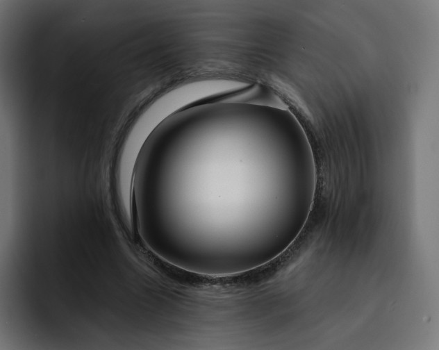 X0000093140538200710101119