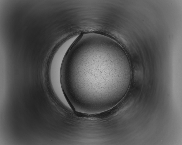 X0000093140539200710101119