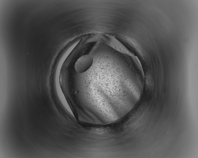 X0000093140540200710101119