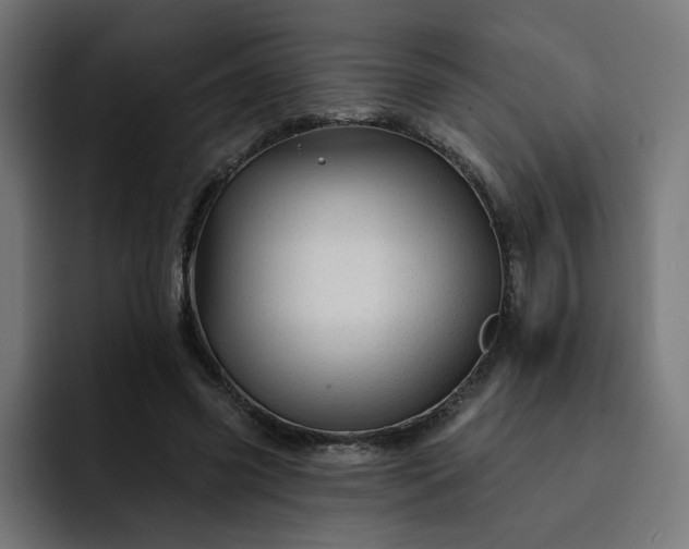 X0000093140541200710101119