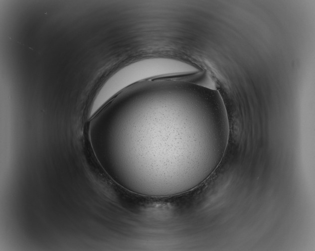 X0000093140543200710101119