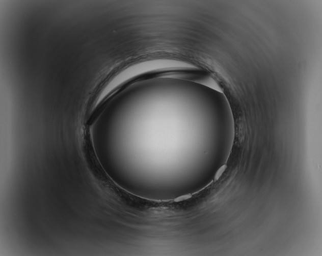 X0000093140544200710101119