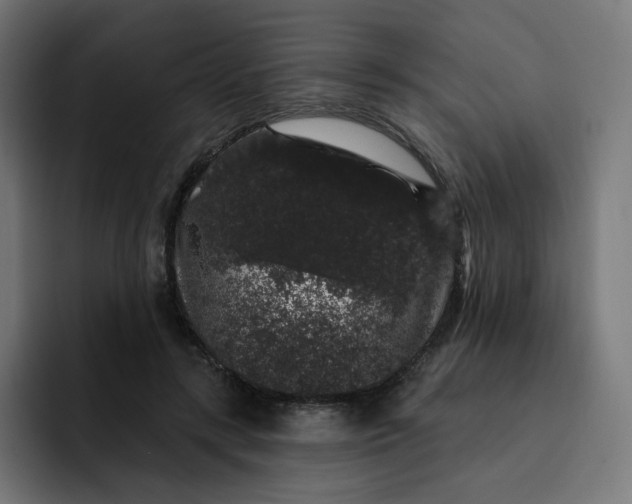 X0000093140547200710101119