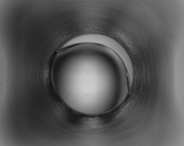 X0000093140548200710101119