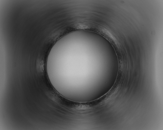 X0000093140549200710101119