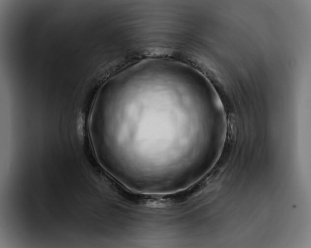 X0000093140550200710101119